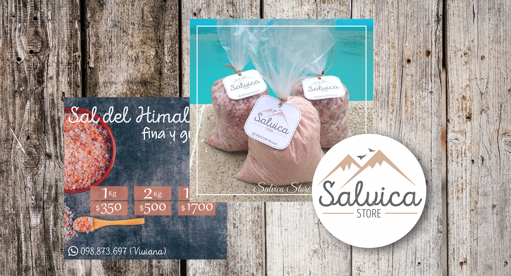 proyecto Salvica